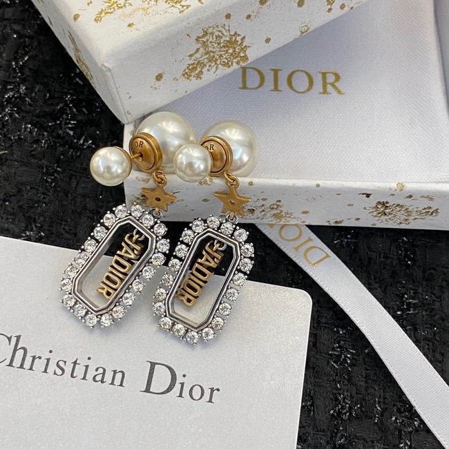 Dior Earrings CE9412