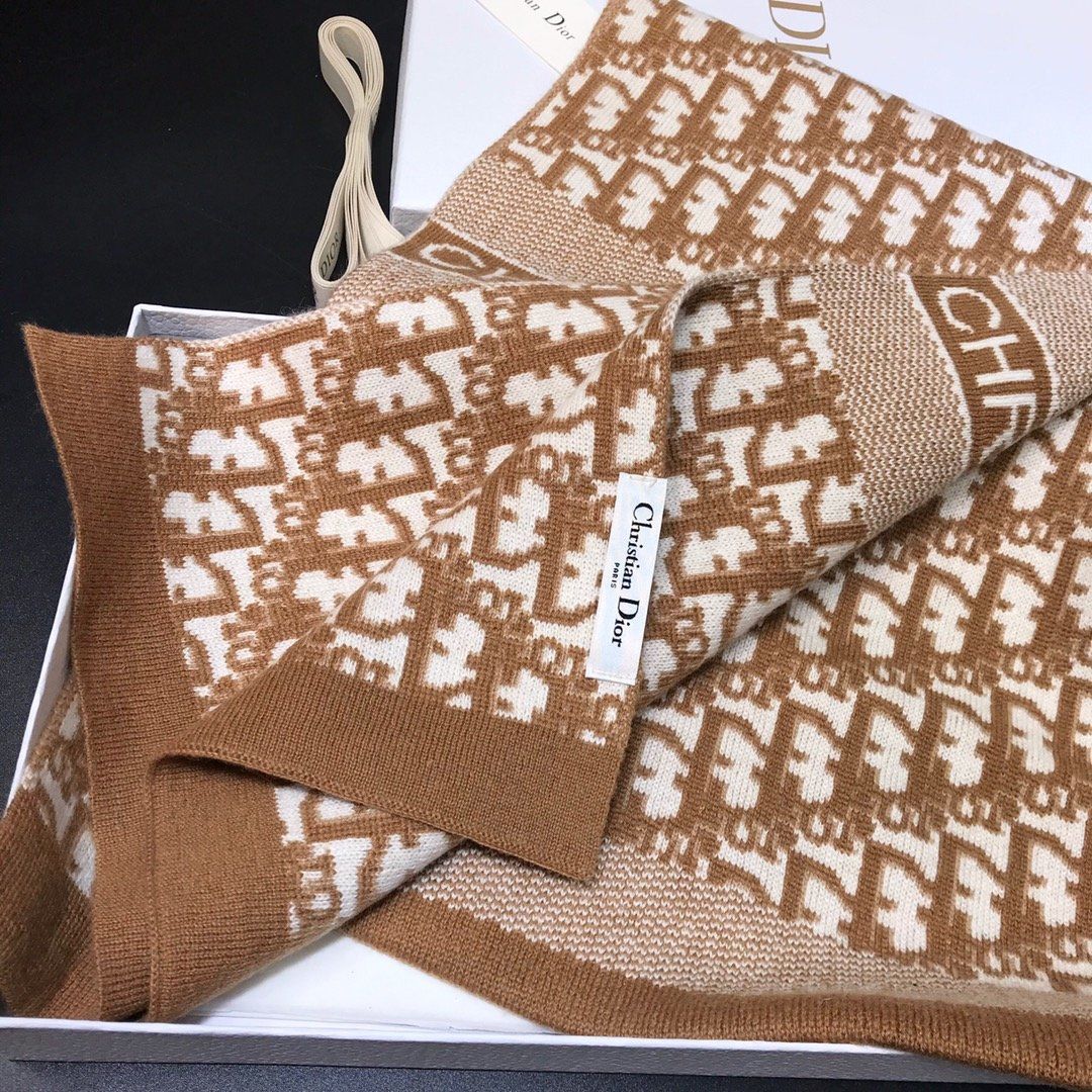 Dior Scarf DIC00029