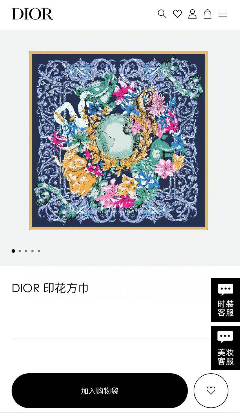 Dior Scarf DIC00043