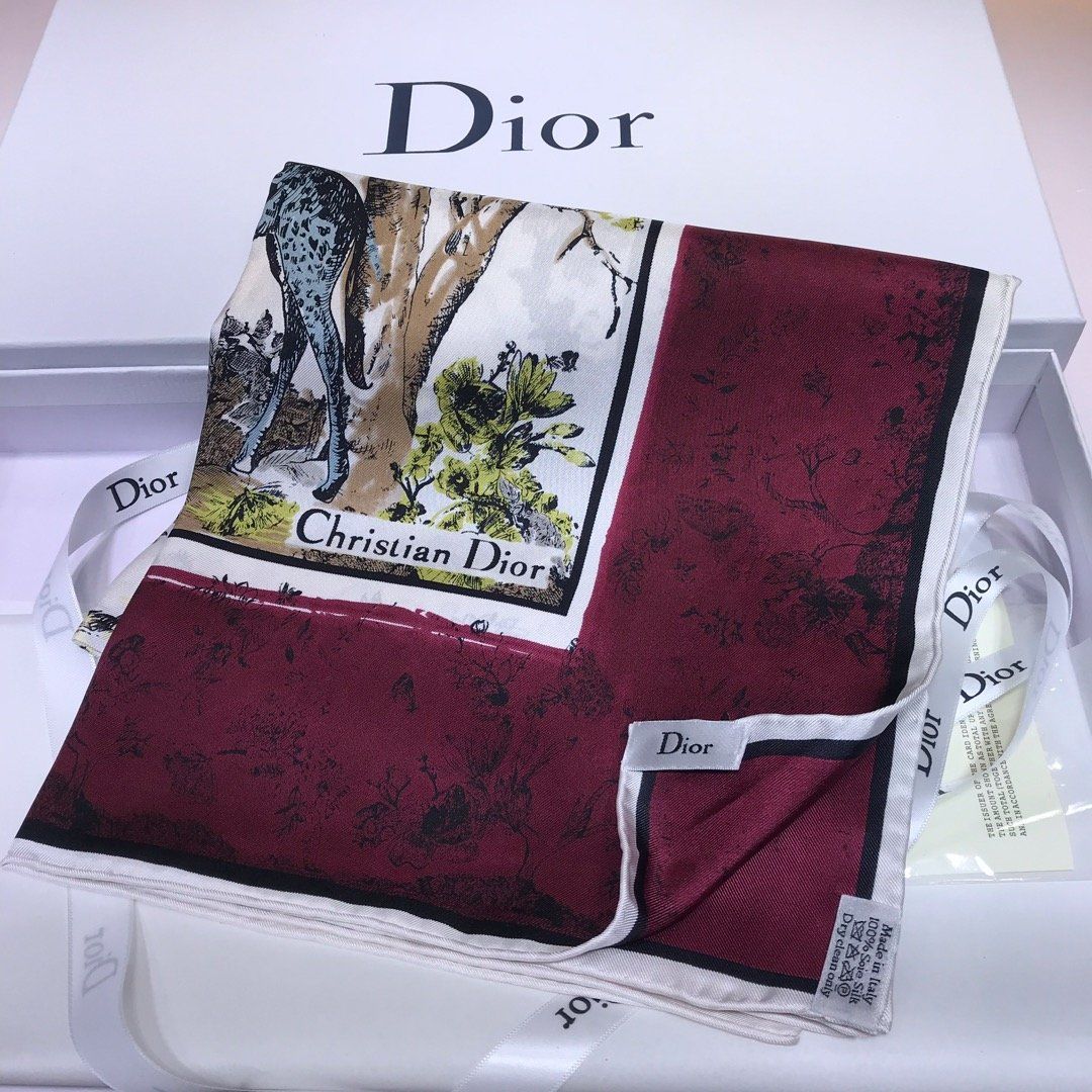 Dior Scarf DIC00054