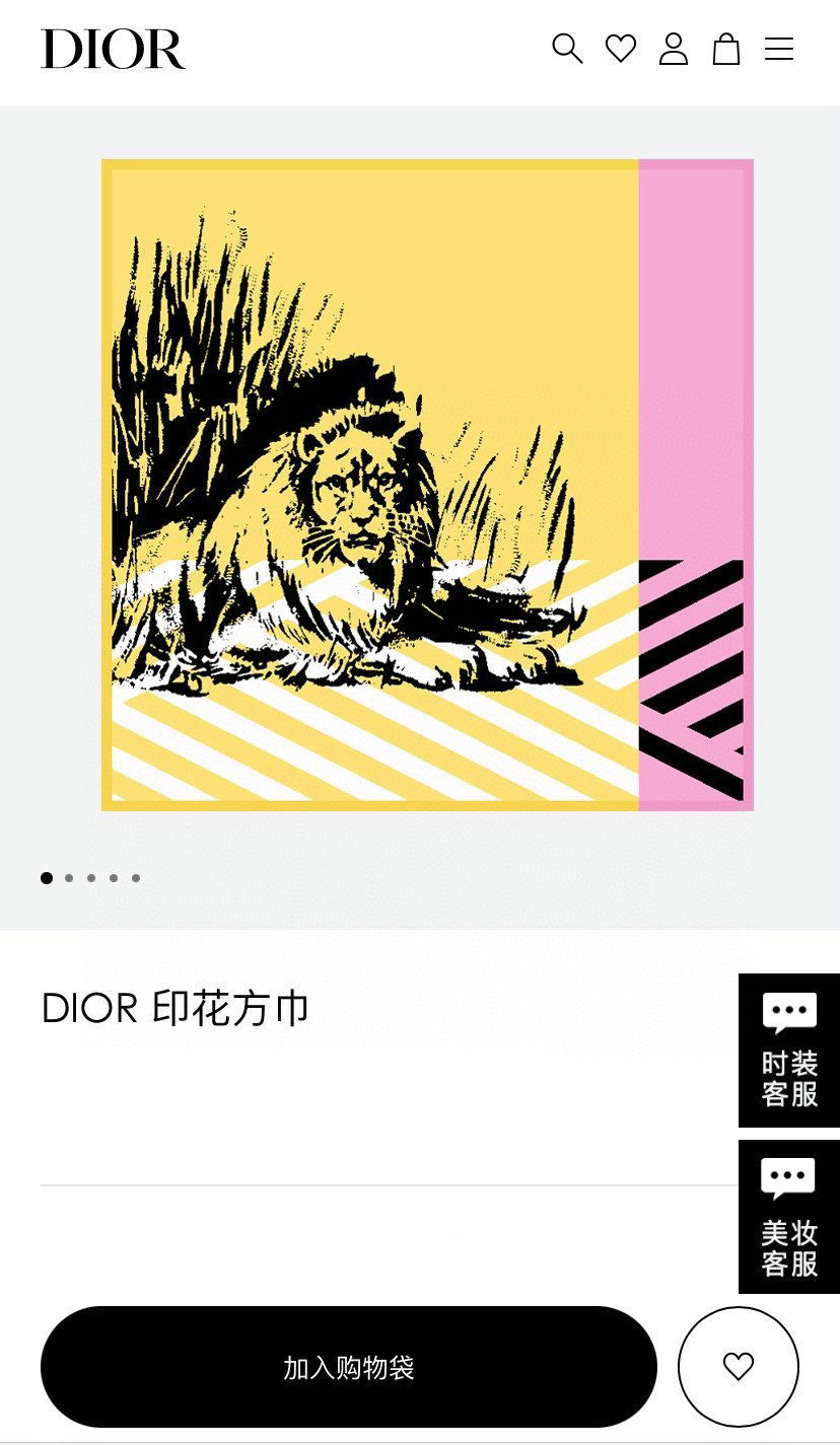 Dior Scarf DIC00064