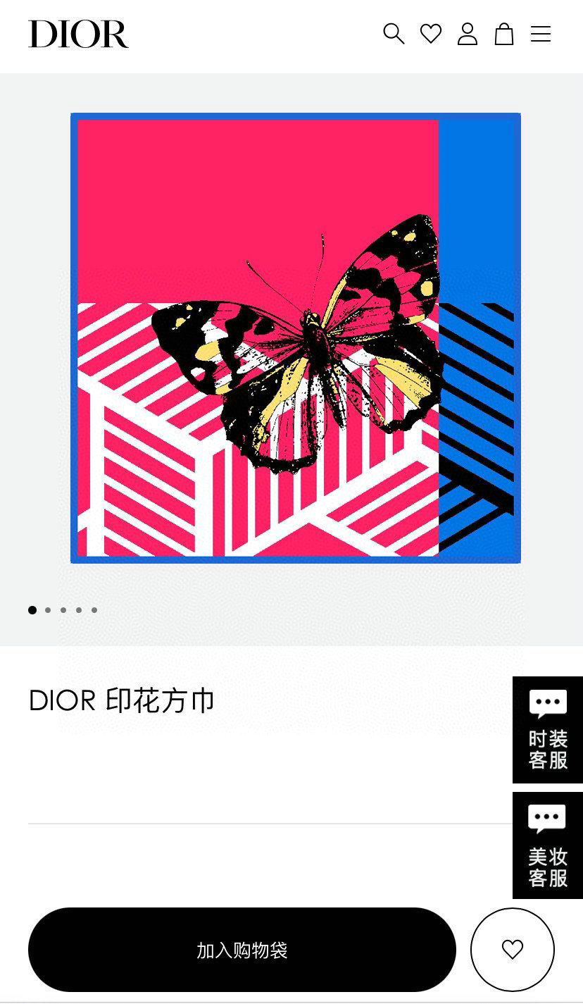 Dior Scarf DIC00065
