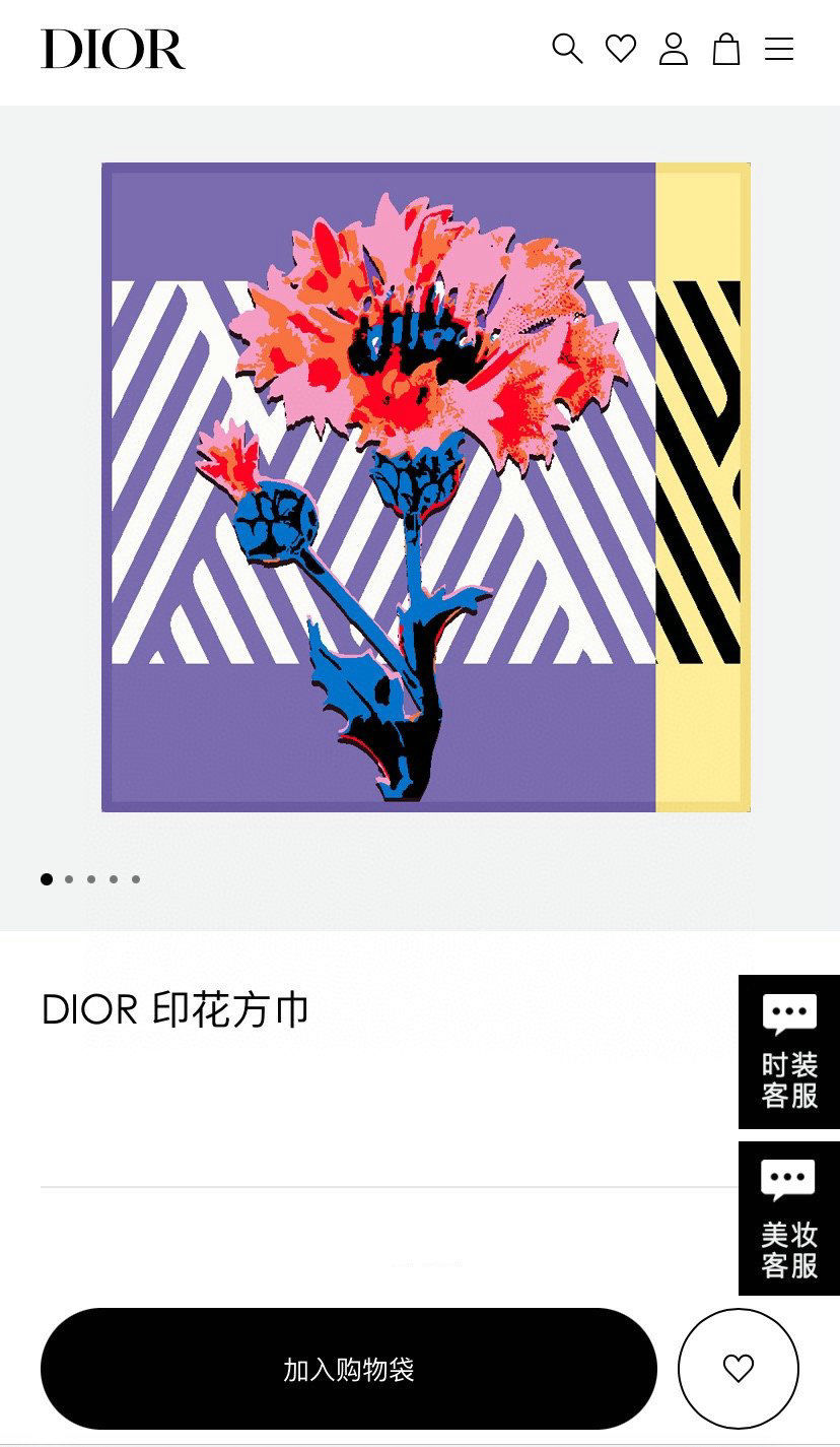 Dior Scarf DIC00067