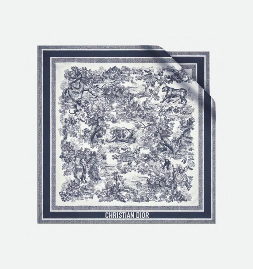 Dior Scarf DIC00075