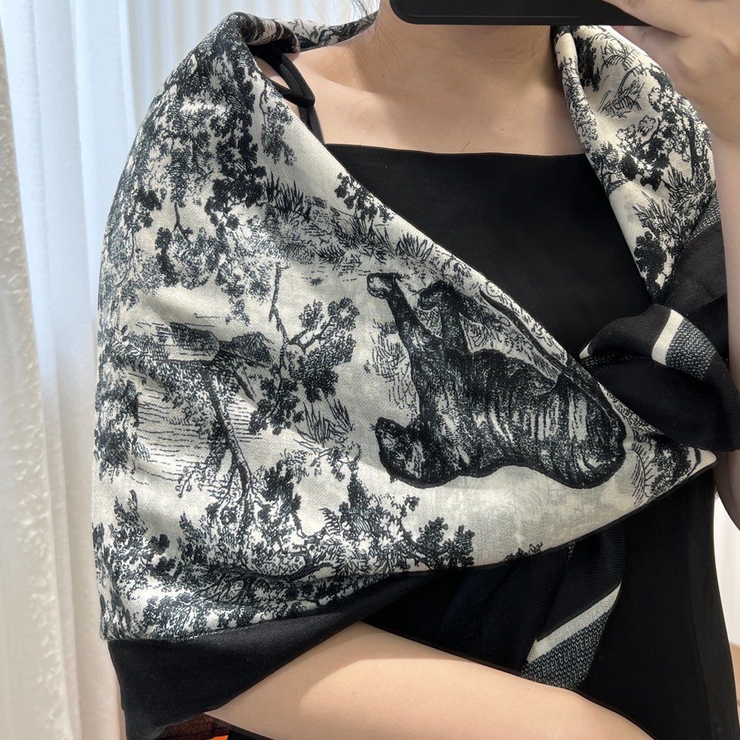 Dior Scarf DIC00078