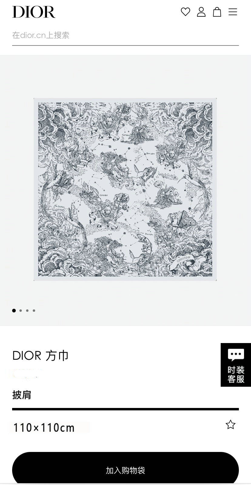Dior Scarf DIC00088