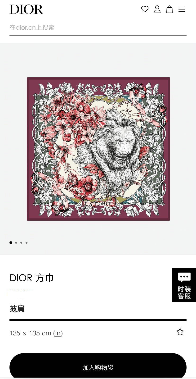Dior Scarf DIC00105