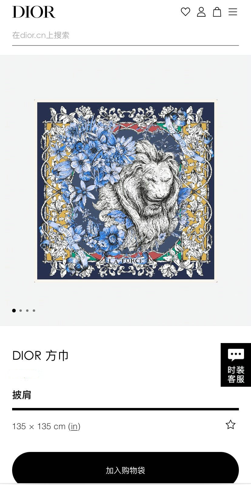 Dior Scarf DIC00106