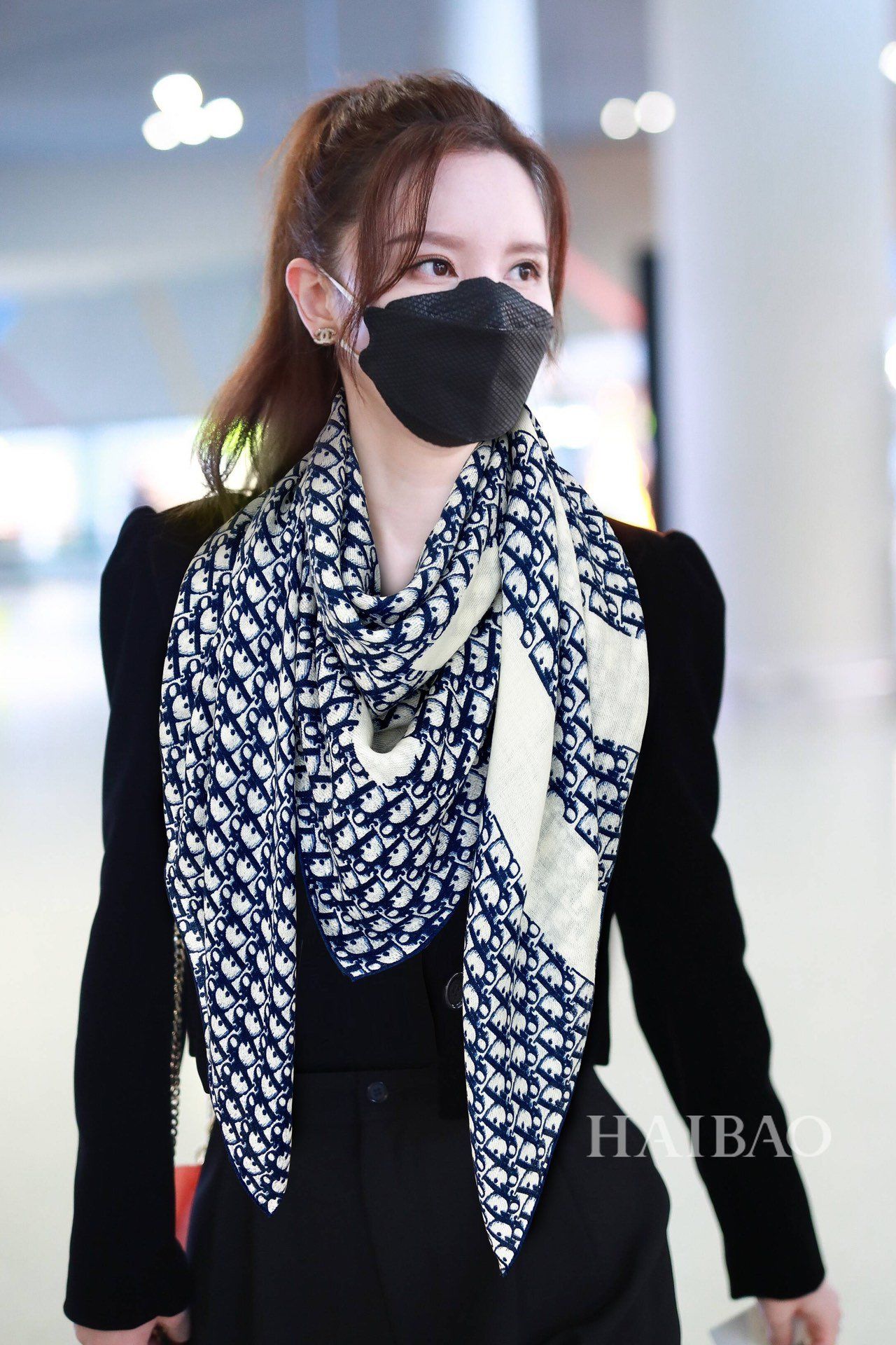 Dior Scarf DIC00114