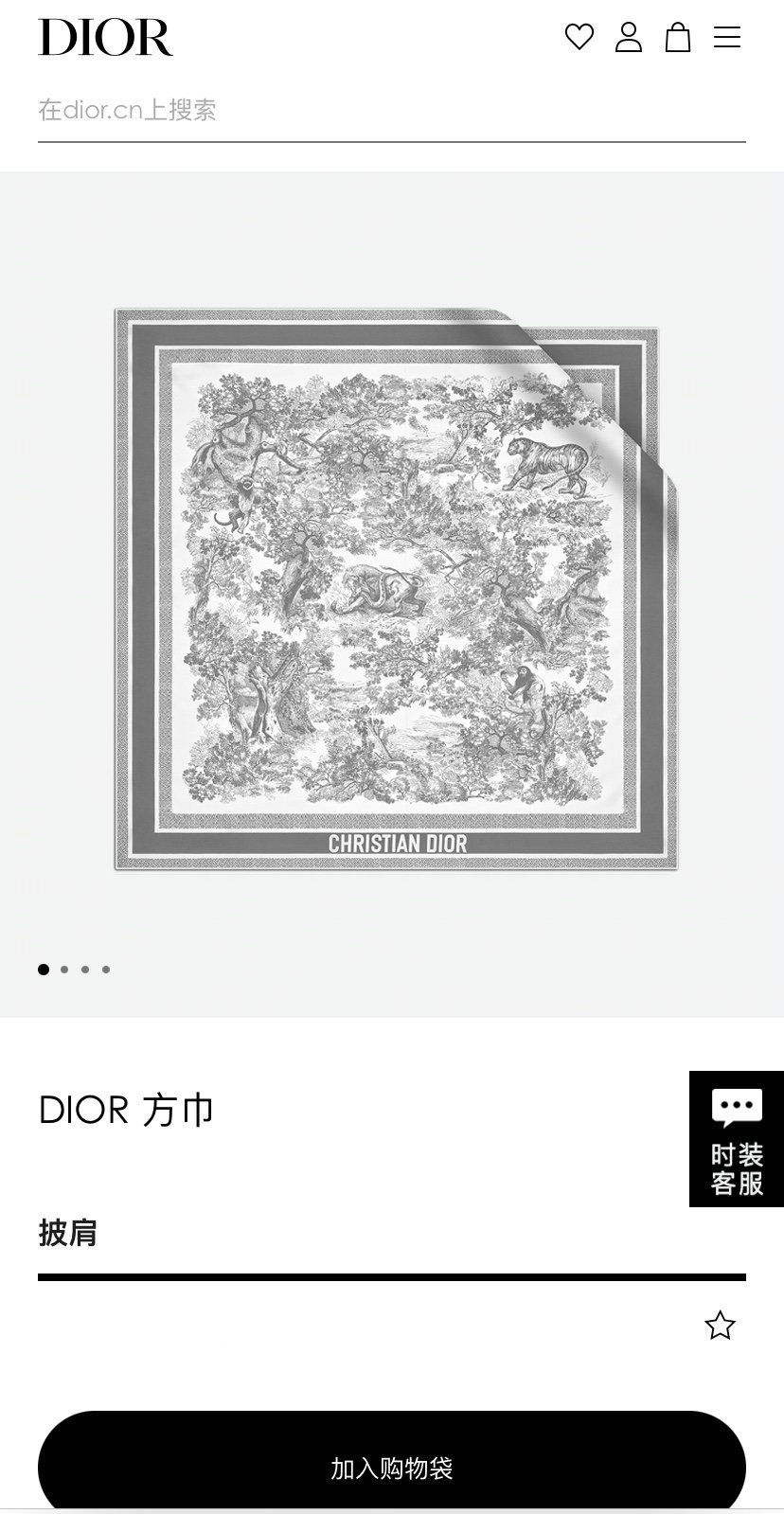 Dior Scarf DIC00125