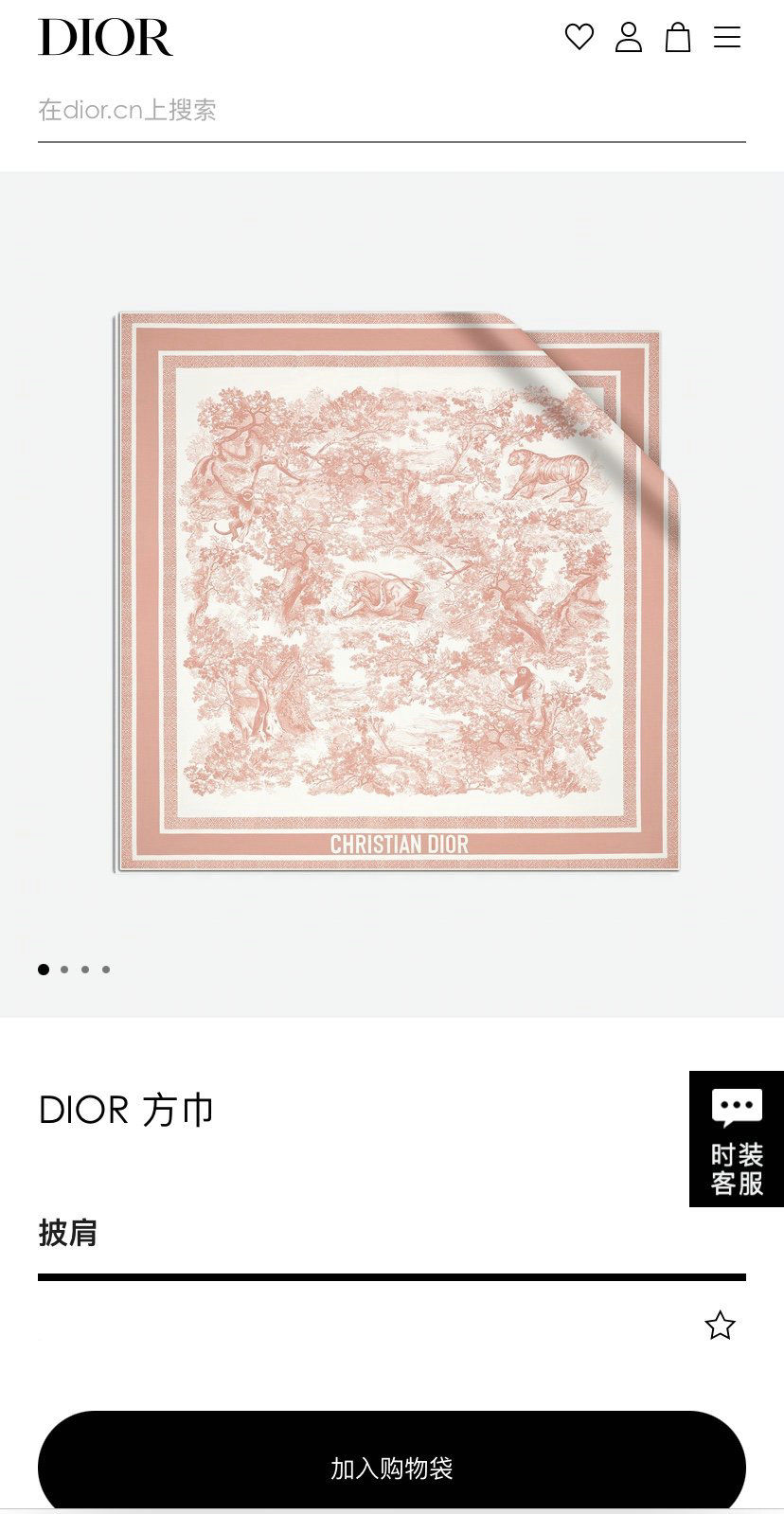 Dior Scarf DIC00126