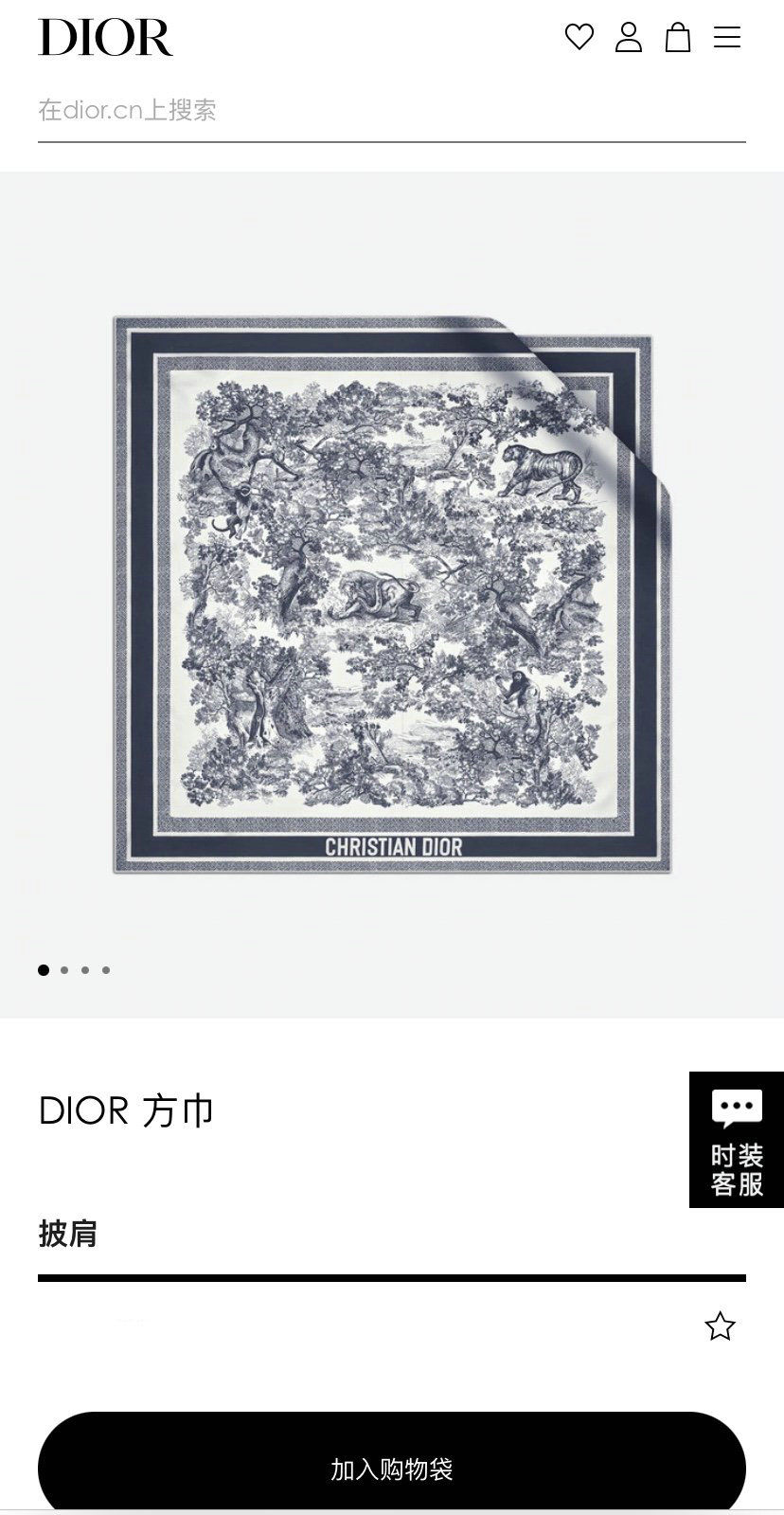 Dior Scarf DIC00127