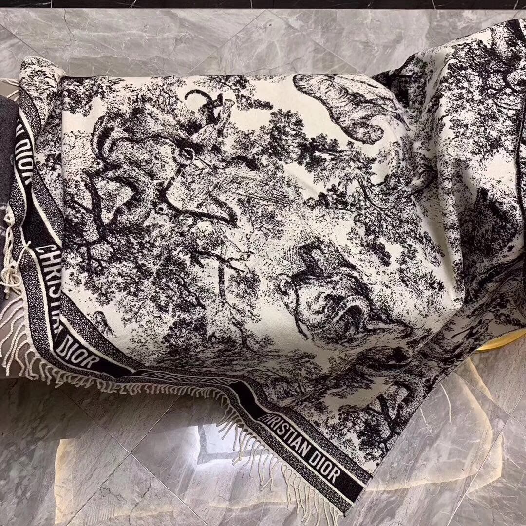 Dior Scarf DIC00136