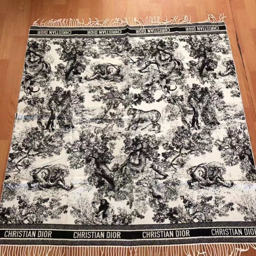 Dior Scarf DIC00136