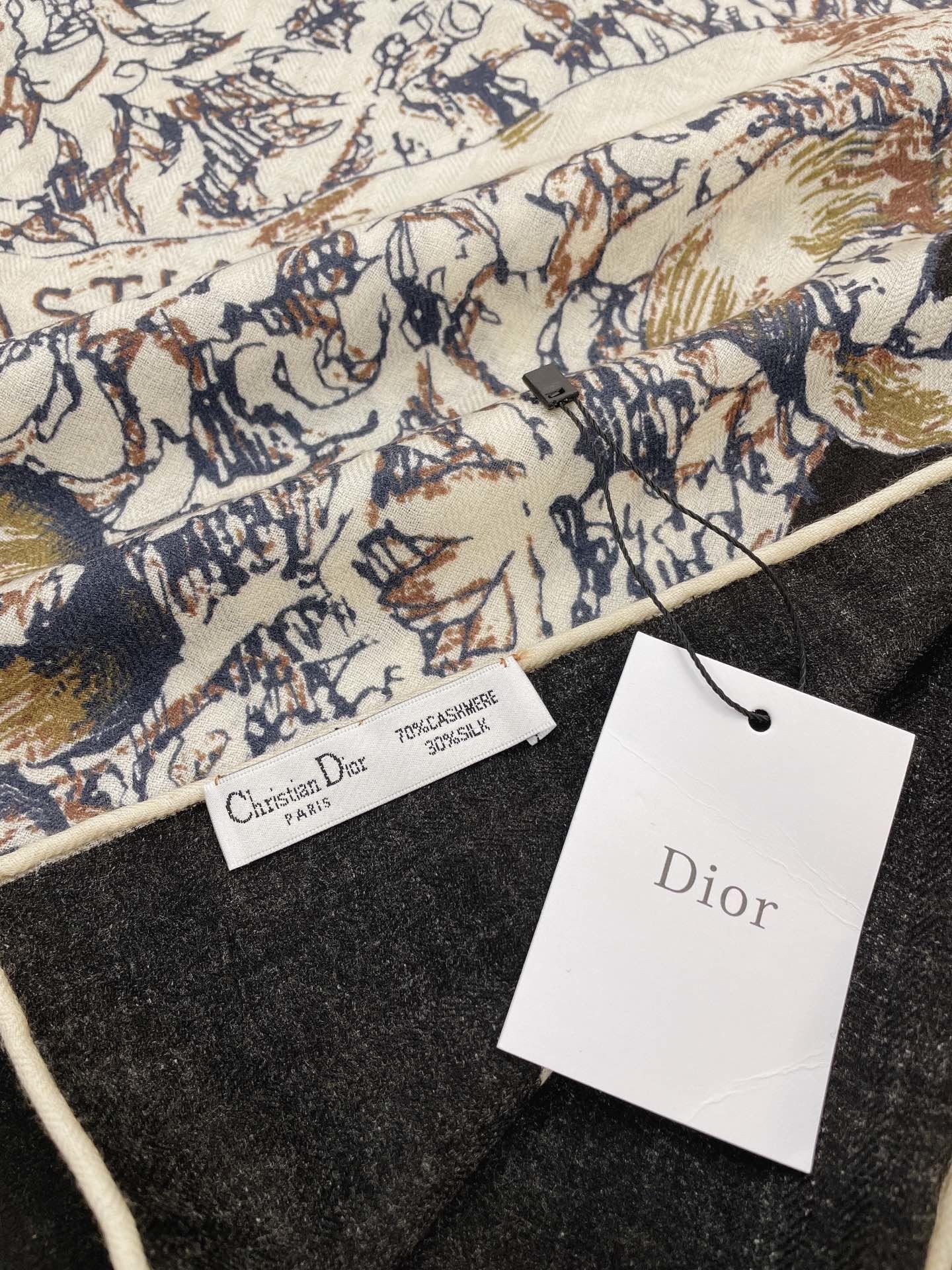 Dior Scarf DIC00145