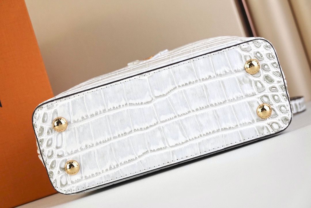 Louis Vuitton crocodile skin CAPUCINES MINI M48865 white&gray
