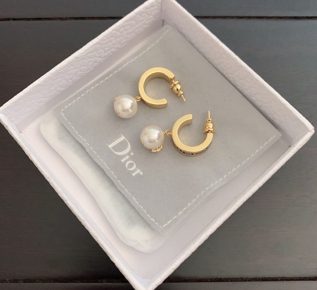 Dior Earrings CE9442