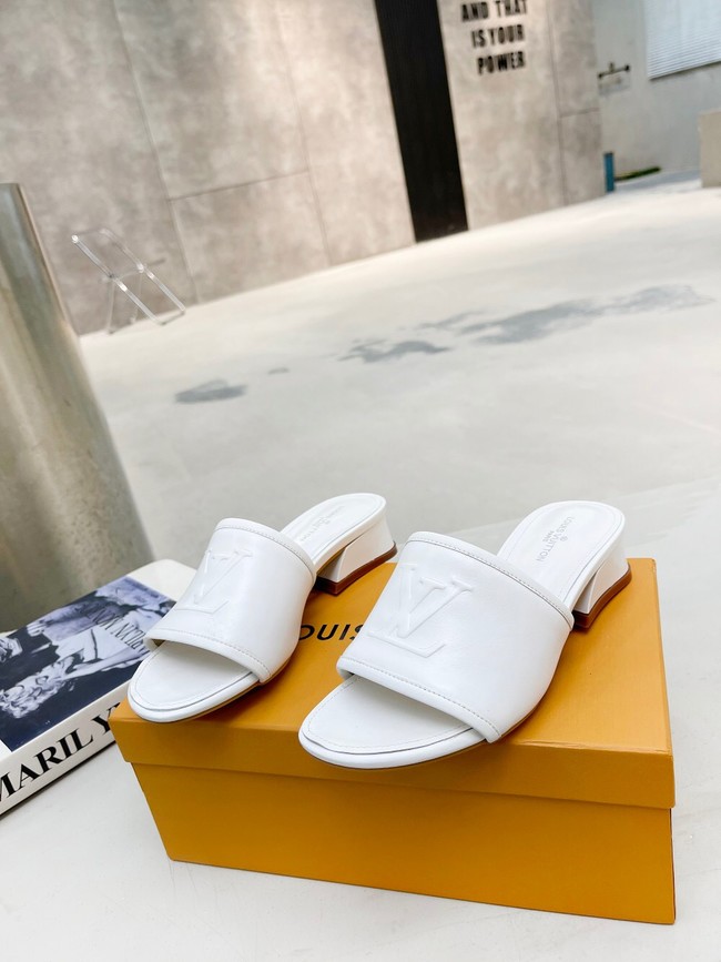 Louis Vuitton slipper M16219-3