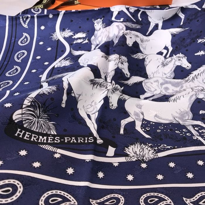 Hermes Scarf HEC00212