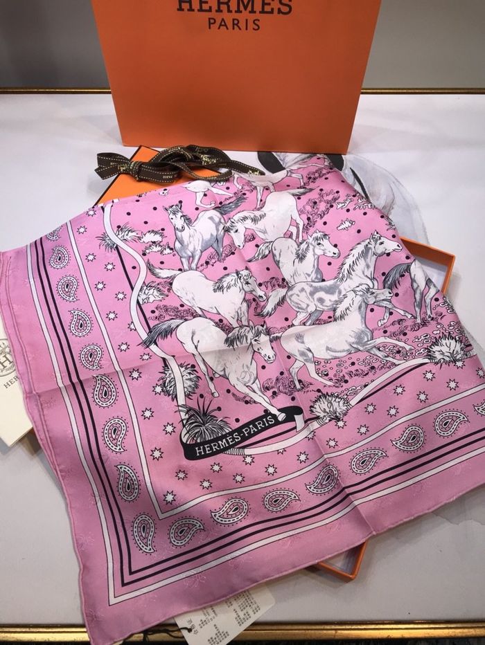 Hermes Scarf HEC00213