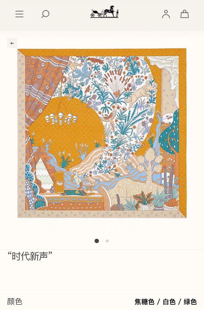 Hermes Scarf HEC00470