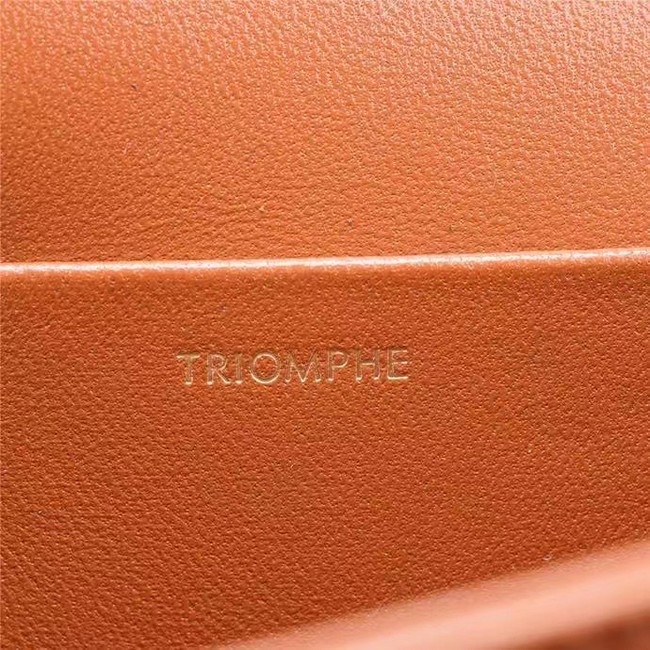 Celine TEEN CLASSIC BAG IN BOX CALFSKIN 199223 TAN