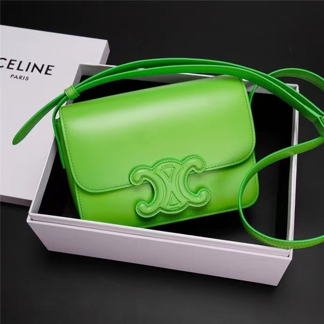Celine TEEN CLASSIC BAG IN BOX CALFSKIN 199223 green