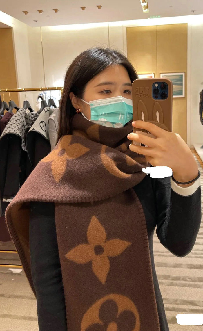 Louis Vuitton Scarf LVC00019