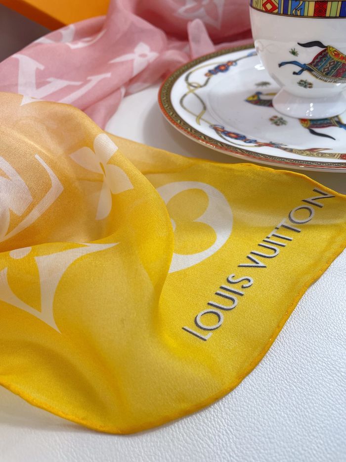 Louis Vuitton Scarf LVC00028