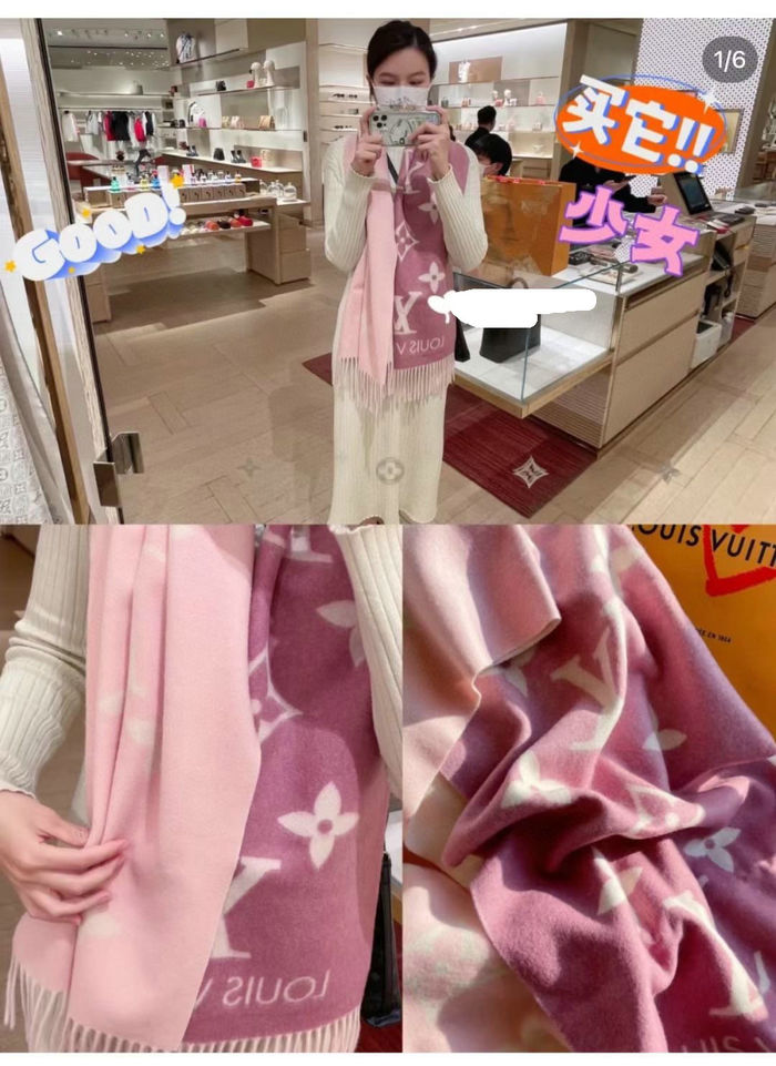 Louis Vuitton Scarf LVC00356