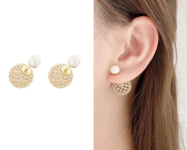 Dior Earrings CE9495