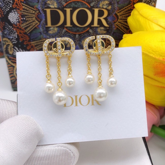 Dior Earrings CE9503