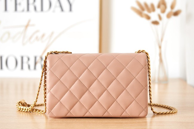 CHANEL SMALL FLAP BAG Lambskin & Gold-Tone Metal AS3393 pink