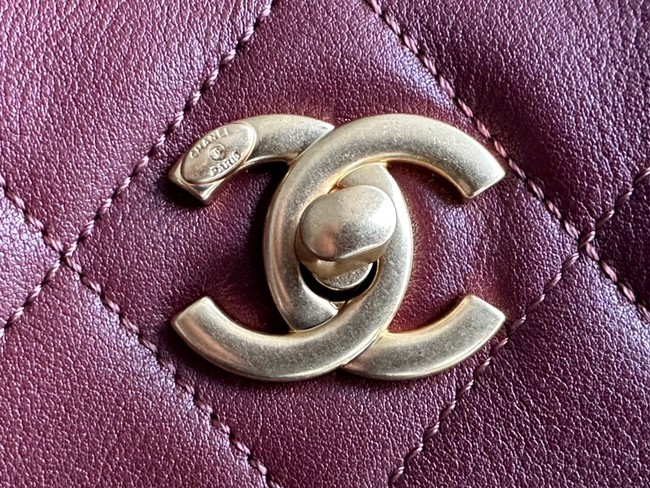 CHANEL Calfskin & Gold-Tone Metal AS3508 Burgundy