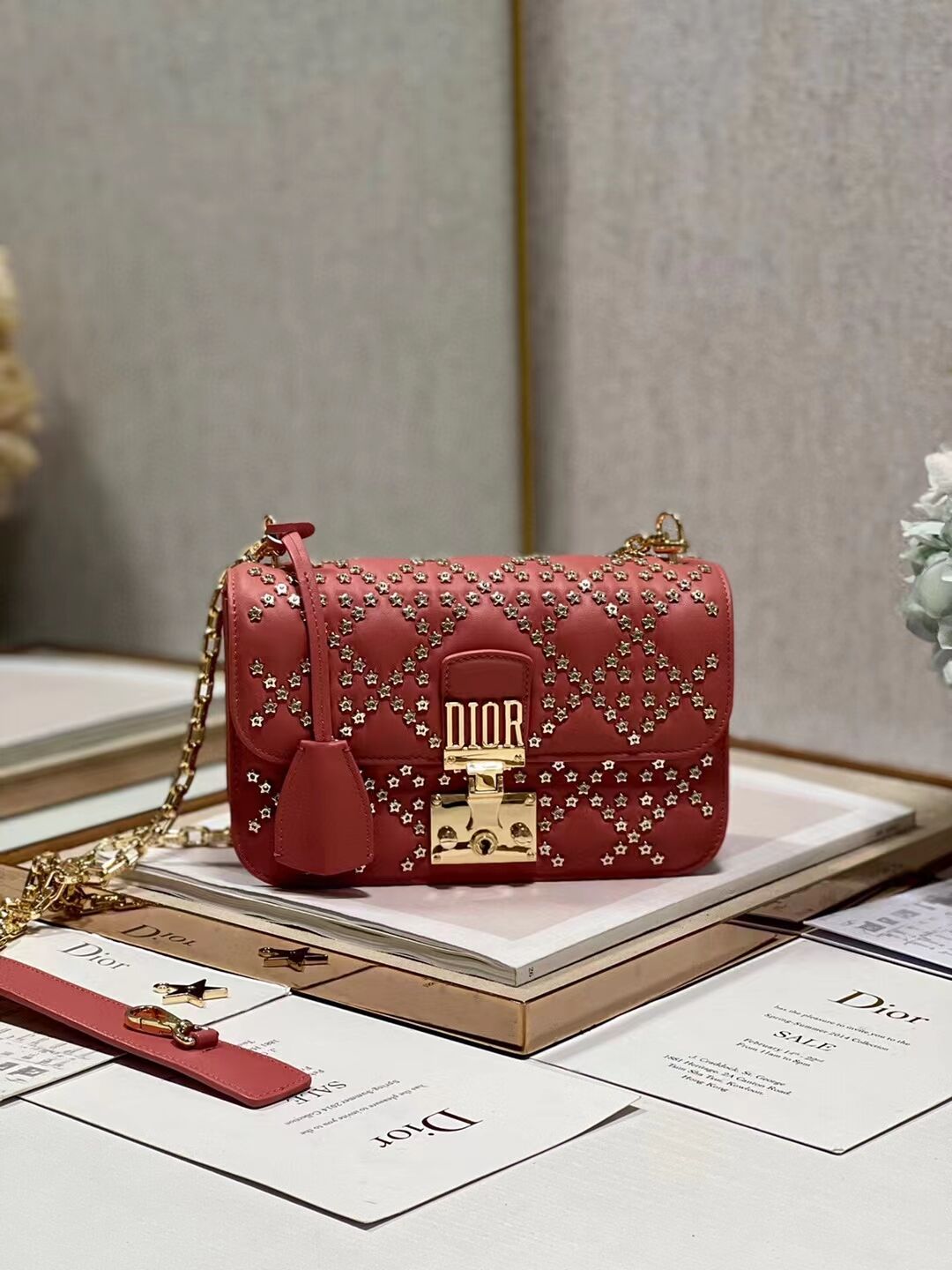 DIOR BAG Lucky Star Cannage Lambskin C2628 red