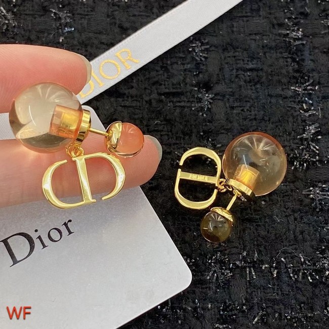 Dior Earrings CE9820