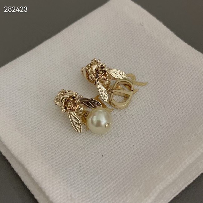 Dior Earrings CE9821