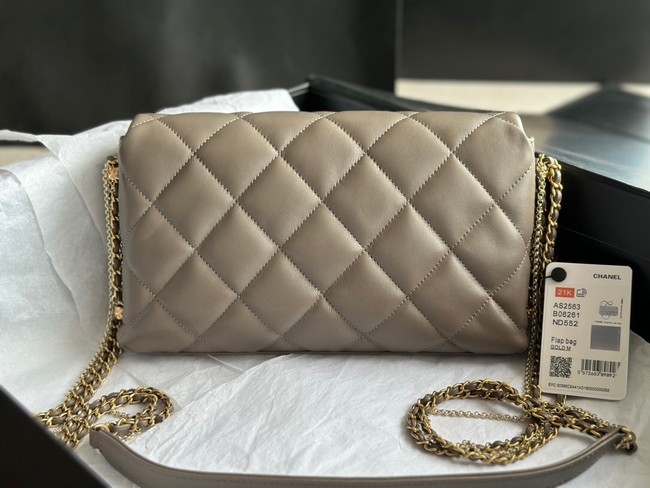 CHANEL FLAP BAG Lambskin & Gold-Tone Metal AS2563 gray