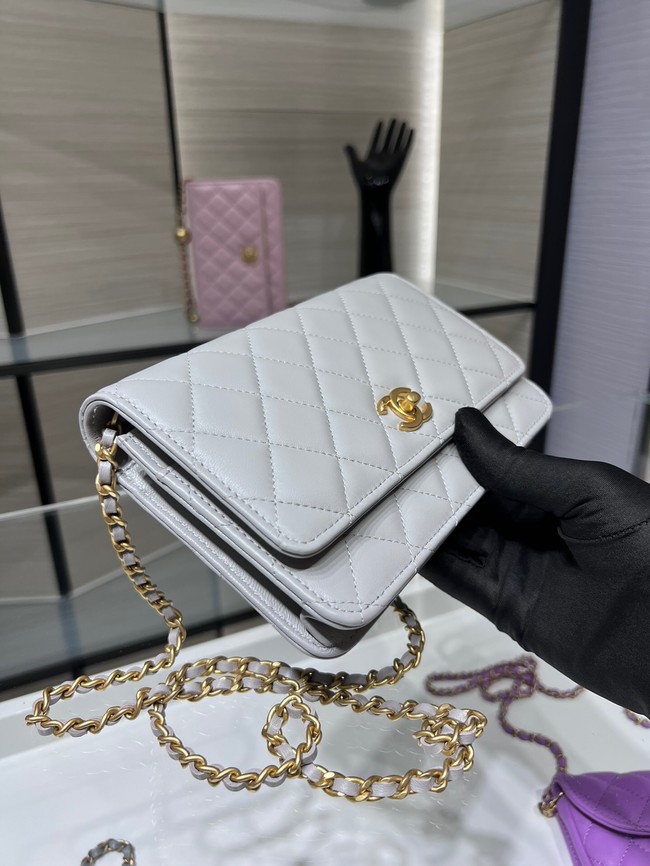 CHANEL WALLET ON CHAIN AP1450 light gray