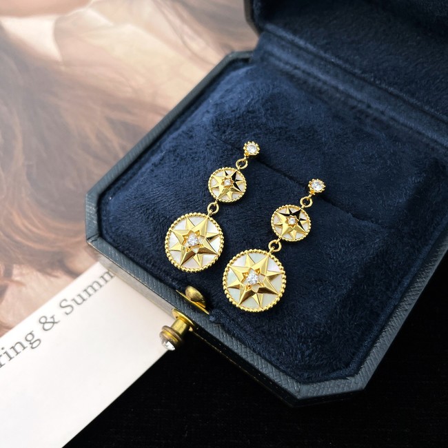 Dior Earrings CE9912