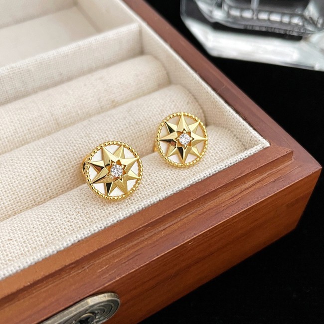 Dior Earrings CE9913