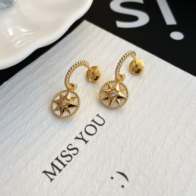 Dior Earrings CE9914