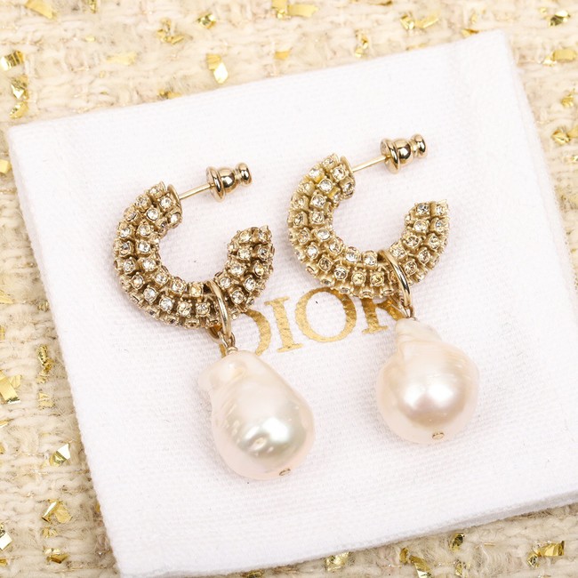 Dior Earrings CE9955