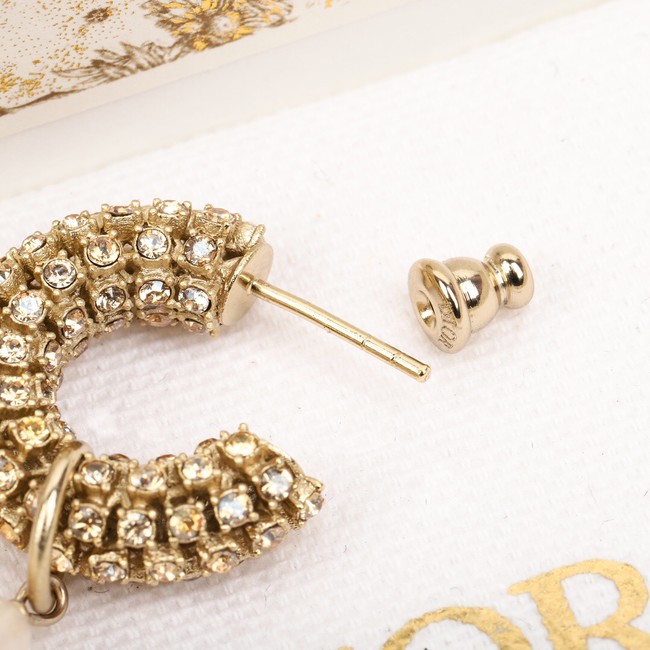 Dior Earrings CE9955