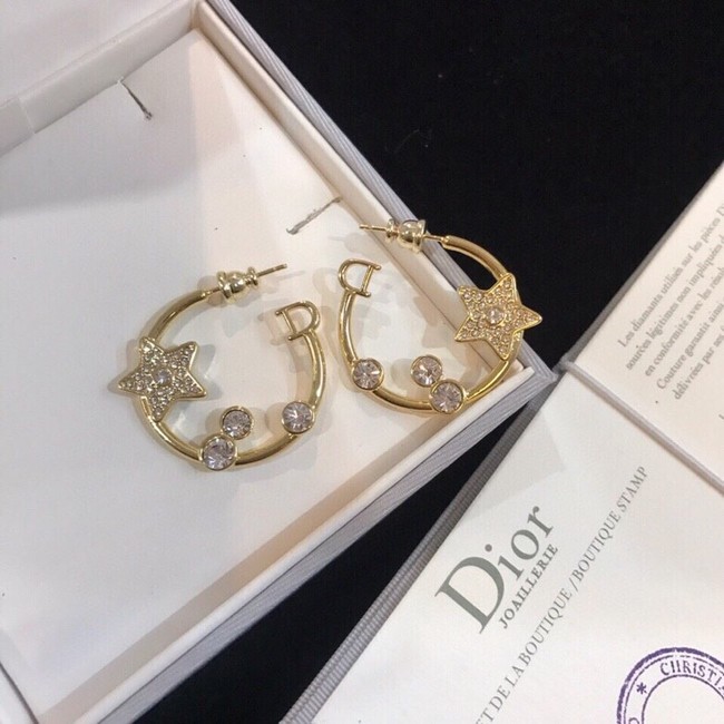 Dior Earrings CE9941