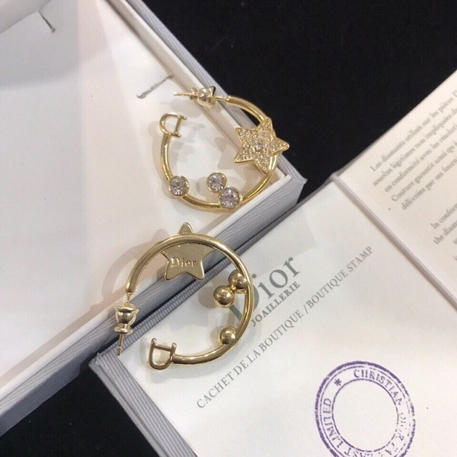 Dior Earrings CE9941