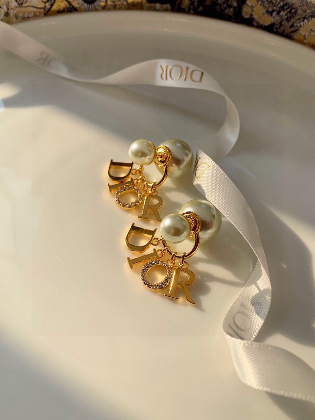 Dior Earrings CE10071