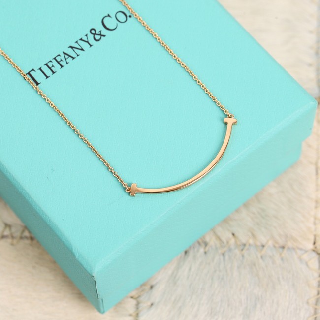 TIFFANY Necklace CE10064