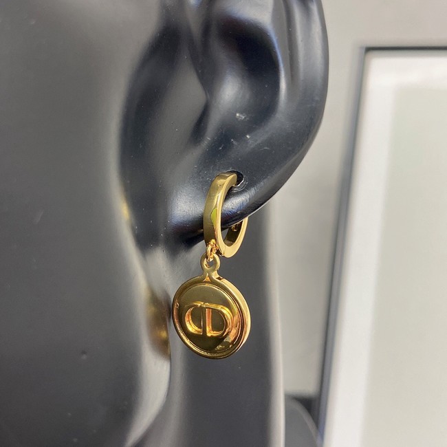 Dior Earrings CE10094