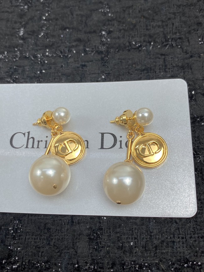 Dior Earrings CE10095